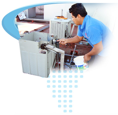 P�lizas de mantenimiento